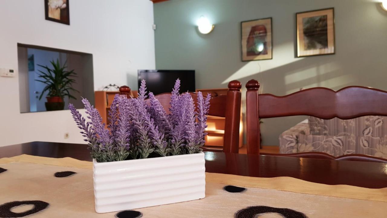 Apartment Cobanija *